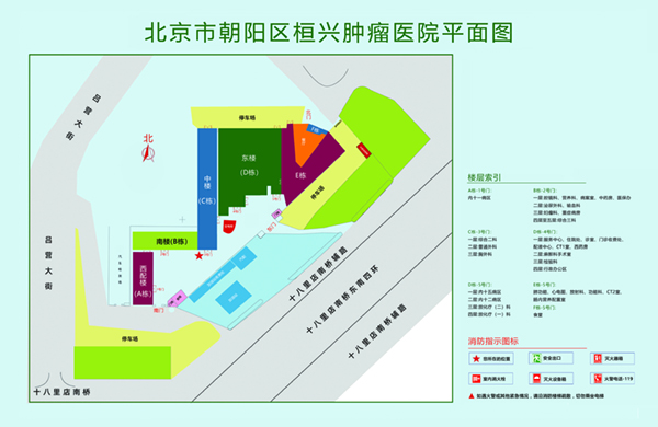 18摸免费日批软件北京市朝阳区桓兴肿瘤医院平面图